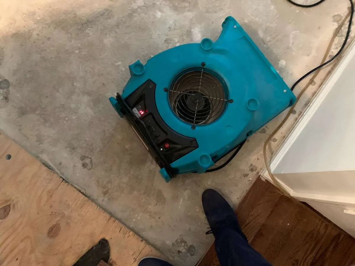 Air mover drying subfloor during Leak Detection & Repair in Newcastle